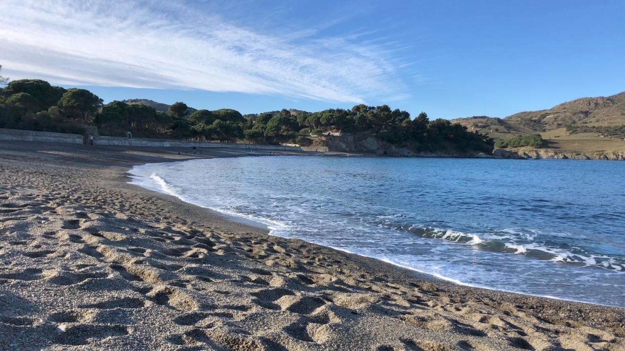 Vue Mer Panoramique Exceptionnelle L T2 Mezzanine Luxueux Banyuls-sur-Mer Εξωτερικό φωτογραφία