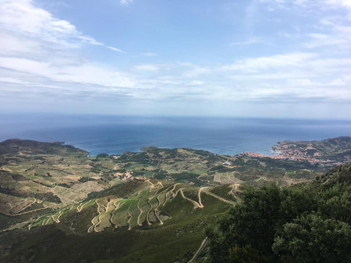 Vue Mer Panoramique Exceptionnelle L T2 Mezzanine Luxueux Banyuls-sur-Mer Εξωτερικό φωτογραφία